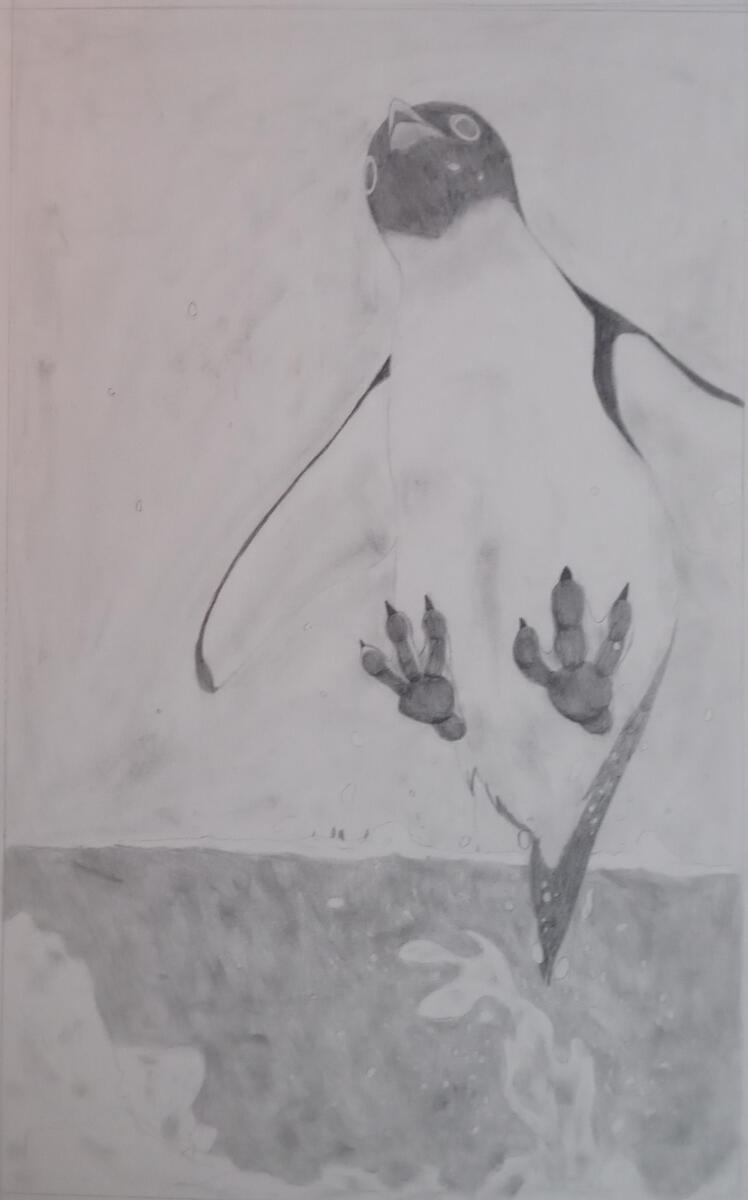 Coursework, Nossi College of Art